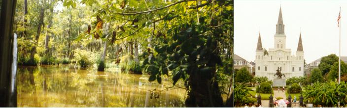 Swamp tour and New Orleans